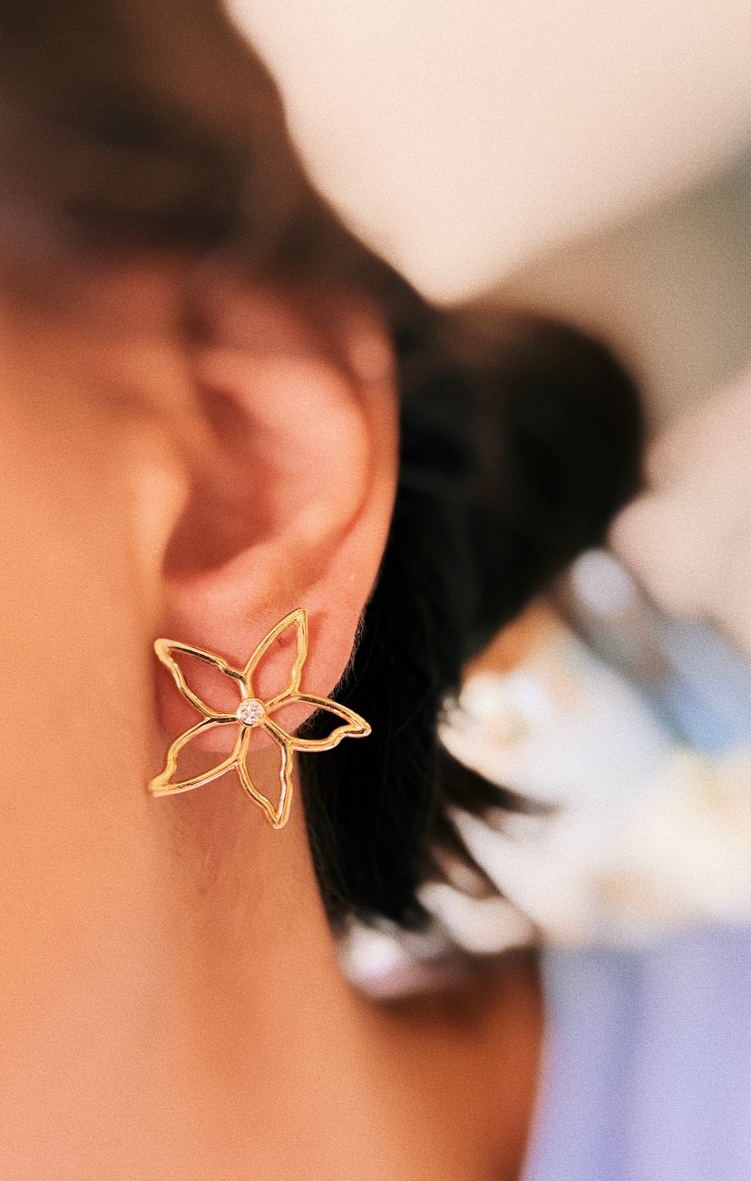 WhatsApp Image 2023-11-02 at 14.14.14 Brinco Flor com Brilhantes G - Imagem 1