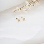 Brinco Estrela mini zircônias