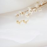 Brinco Espírito Santo com brilhante